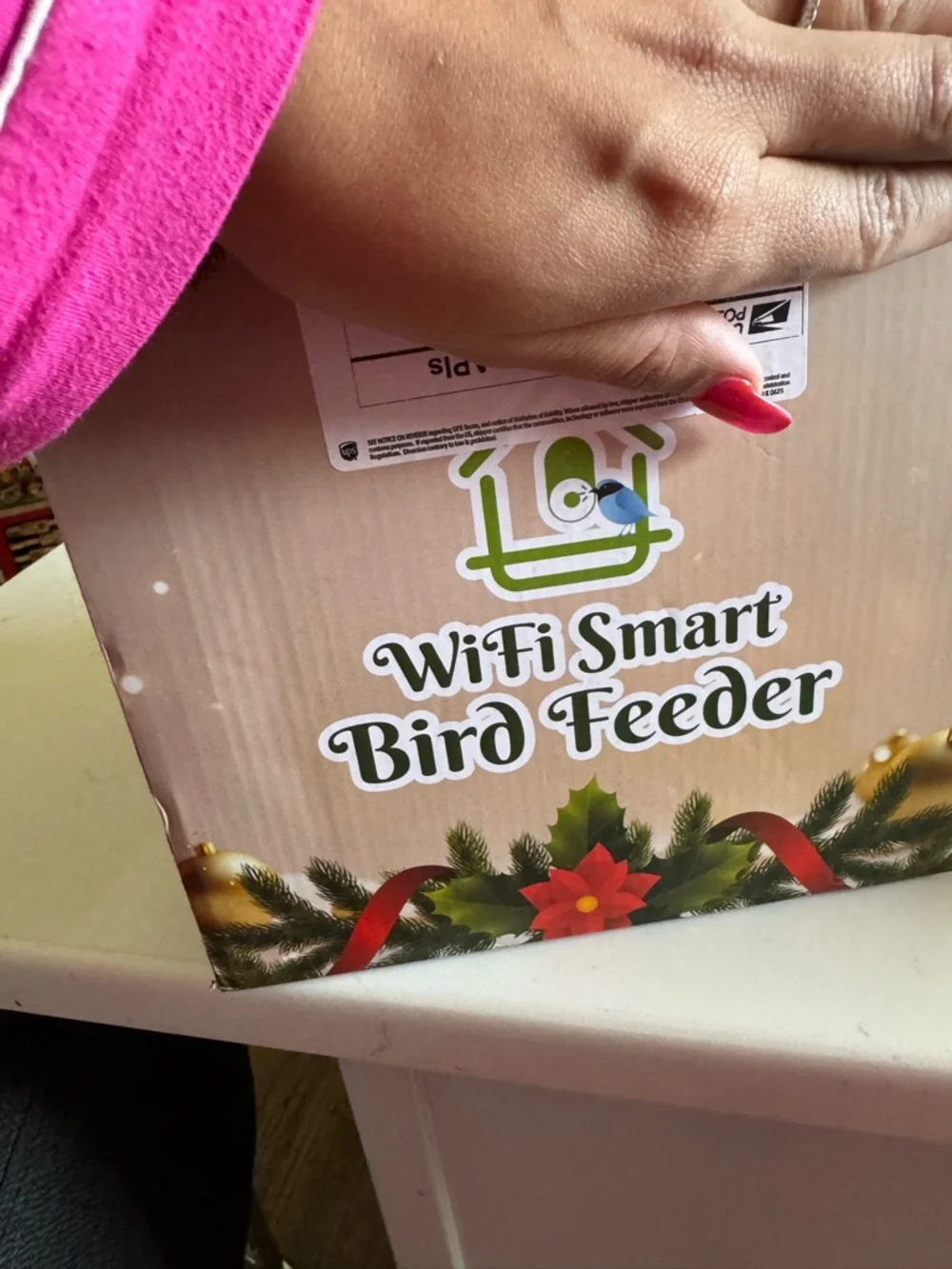 Solar-Powered Bird Feeder with Camera - Green